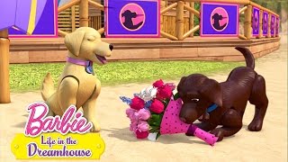 Barbie - Cestou k pskom