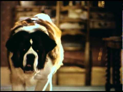 Beethoven's 2nd'