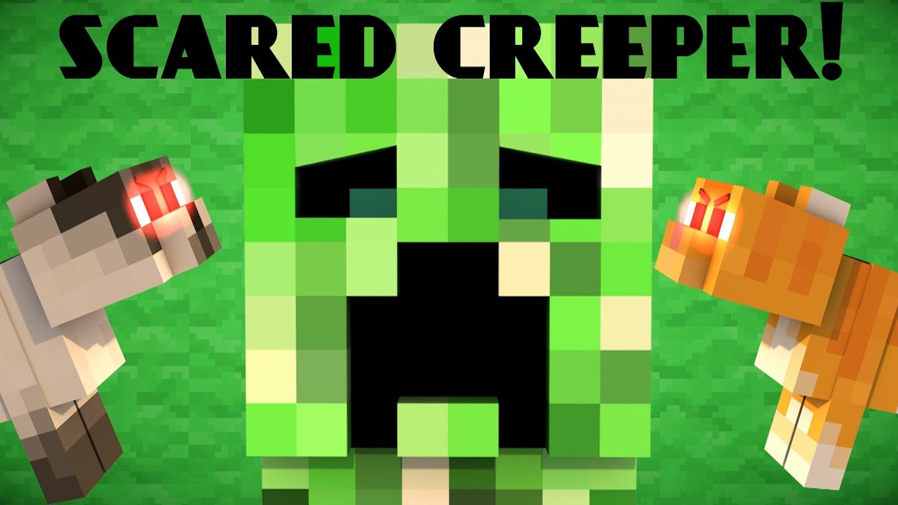 Why Creepers are scared of Cats Minecraft YouTube