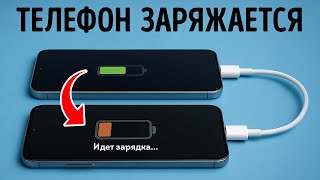 У повседневных вещей есть блестящие секреты — и вы их полностью упустили