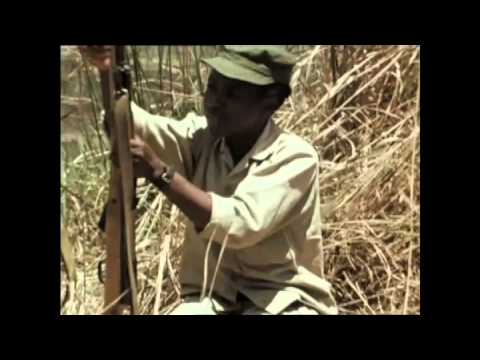 Guerrilla Grannies'
