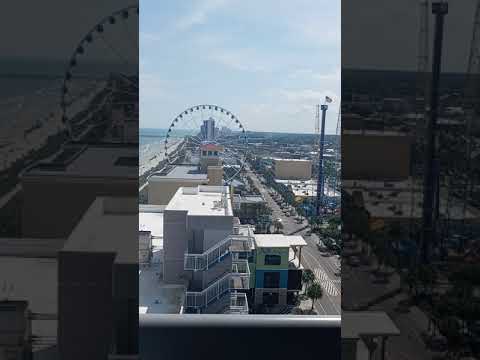 Video realizado por la propiedad