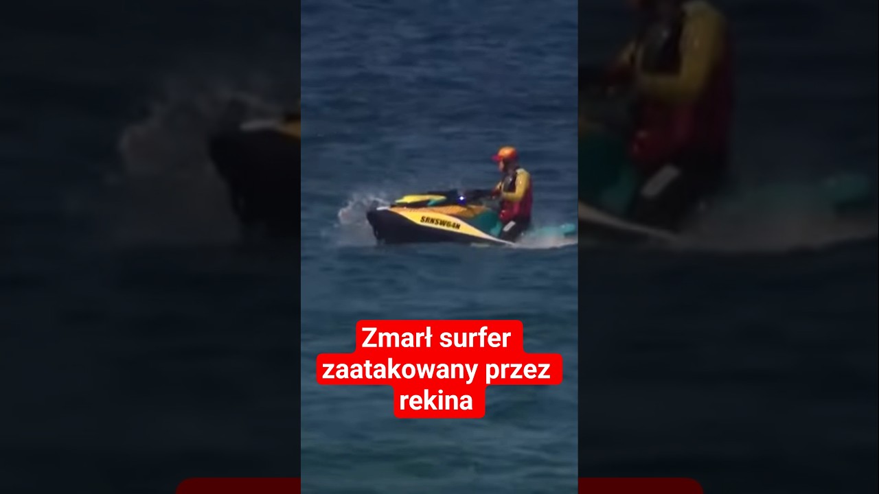 Zmarł surfer zaatakowany przez rekina w Sydney. Pierwszy taki incydent od ponad 3 lat