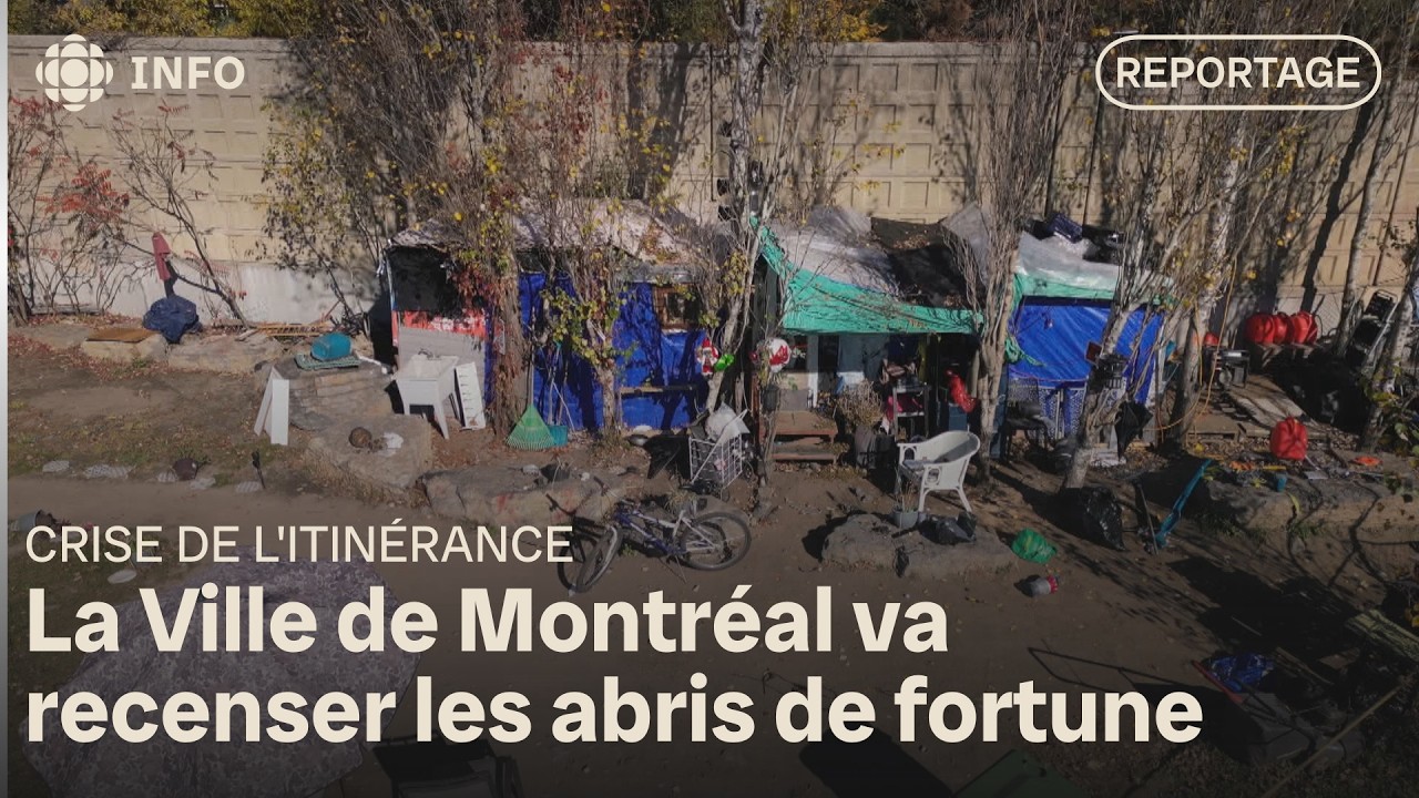 Crise de l'itinérance : la construction de cabanes s'active à l'approche de l'hiver