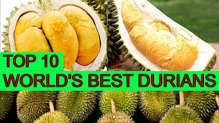 TOP 10 THE BEST DURIANS IN THE WORLD