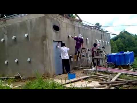 09072012420 Pintu  Rumah  Emas Burung Walet  1 Musica Movil 