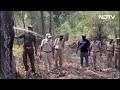 Tree Viral Video: Andhra Pradesh के Forest में Tree से निकला Water, Viral Video का पूरा सच | NDTV  - 02:26 min - News - Video