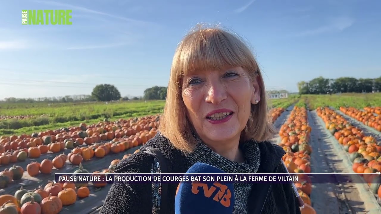 Pause Nature : la production de courges bat son plein à la Ferme de Viltain