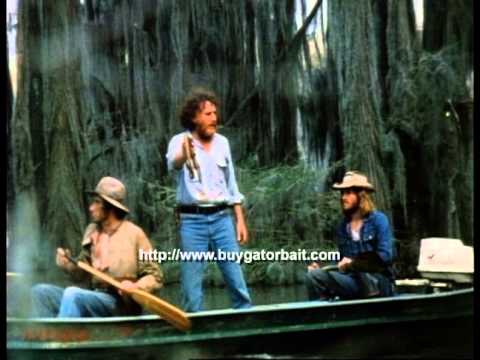 'Gator Bait'