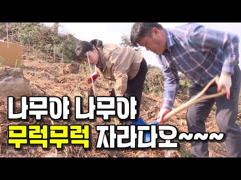 양주시, 제79회 식목일 나무심기 행사 개최