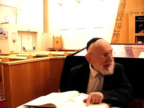 GUEMARA PESSAHIM 38 a Mardi 12 Novembre 2024 Rav Michel  GUGENHEIM