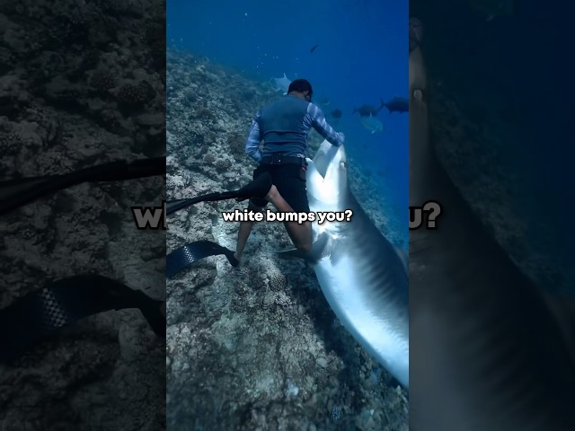 The SCARIEST Creature EVER!
