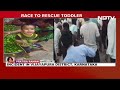 Sanjay Nirupam News | Congress Expels Sanjay Nirupam For 6 Years | Biggest Stories Of April 3, 2024  - 20:10 min - News - Video