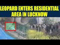 Leopard creates havoc in residential area at Lucknow