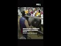 Watch: Bull Disrupts Congresss Gujarat Rally, Ashok Gehlot Blames BJP  - 00:51 min - News - Video