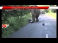 Caught on Camera : Elephant Nearly Crushes Two Bikers