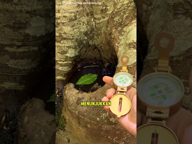 cara mengetahui arah jika tidak punya kompas!!