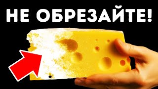 История рождения сыра