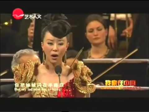 我家在中国 祖海维也纳金色大厅独唱音乐会