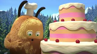 Kiwi a Strit 15 -  Dort