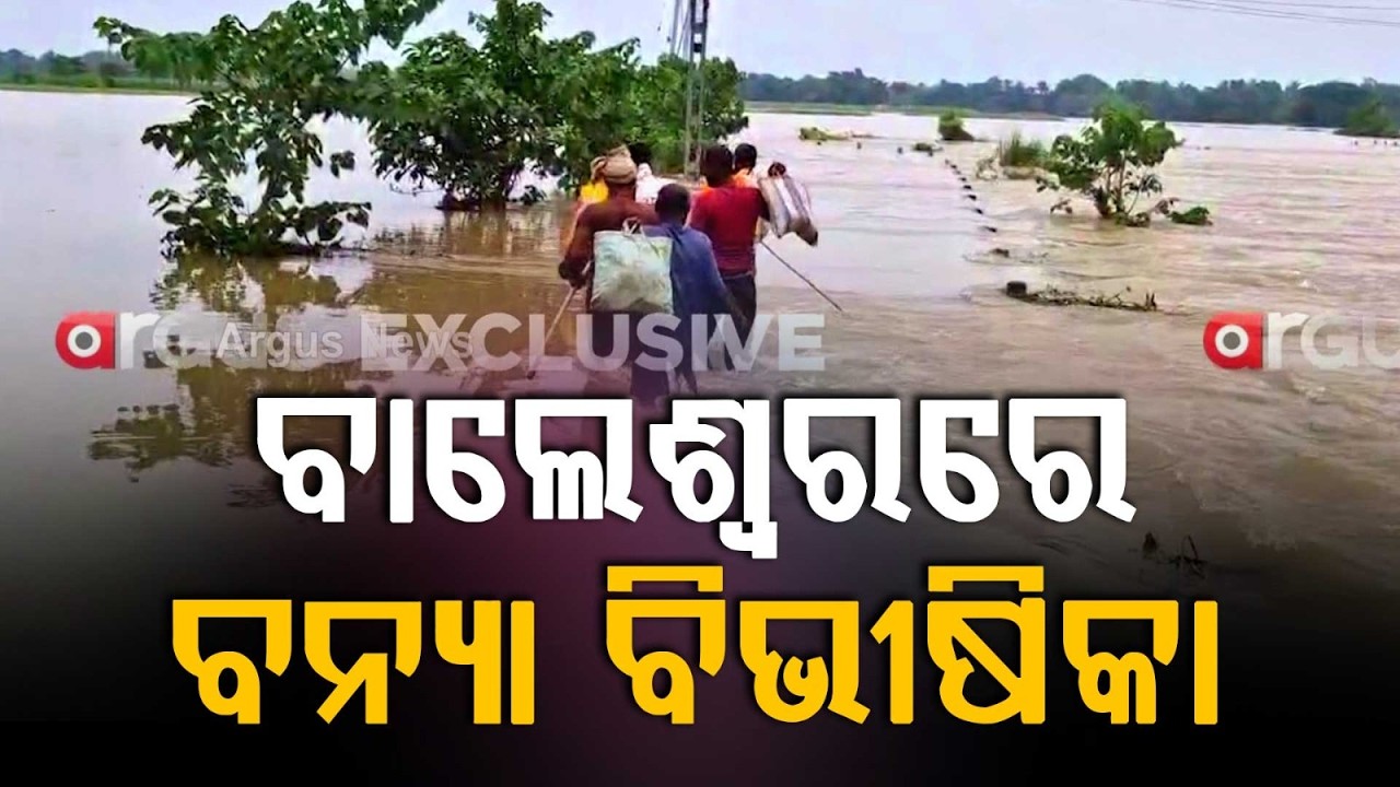 Balasore Floods: 2 Lakh People Affected, 42k Evacuated; NDRF & ODRAF on Ground | Argus News