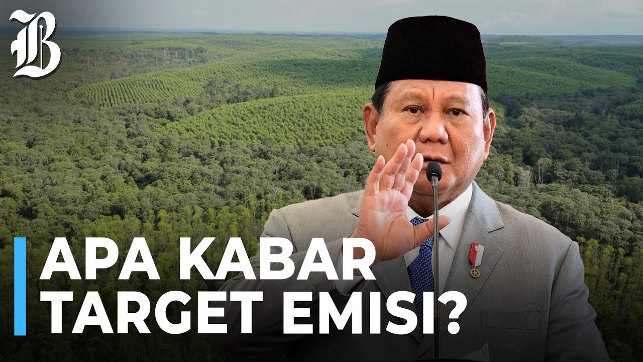 Pemerintah Bakal Ubah 20 Hektare Hutan Jadi Lahan Pangan dan Energi