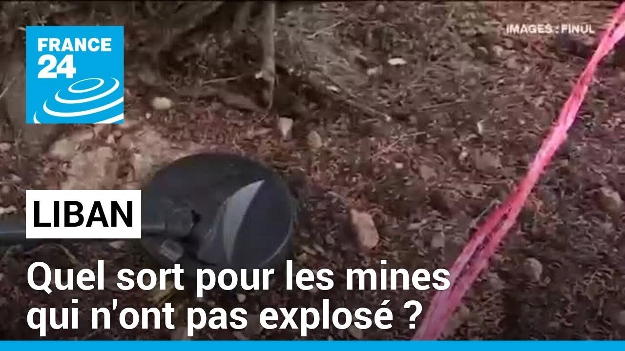 Liban : quel sort pour les mines qui n'ont pas explosé ? • FRANCE 24