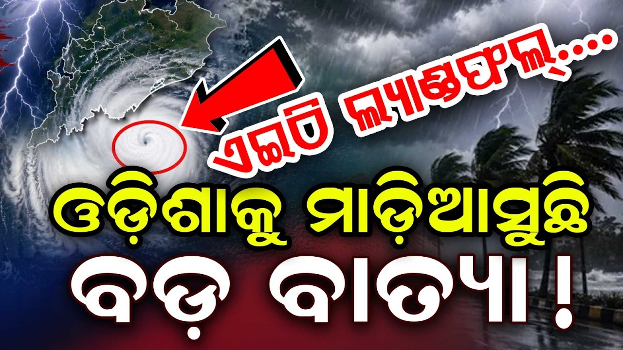 ବାତ୍ୟାକ ନେଇ ବଡ଼ ଖବର | Cyclone News Odisha | Cyclone Update | Odisha Weather | Argus News