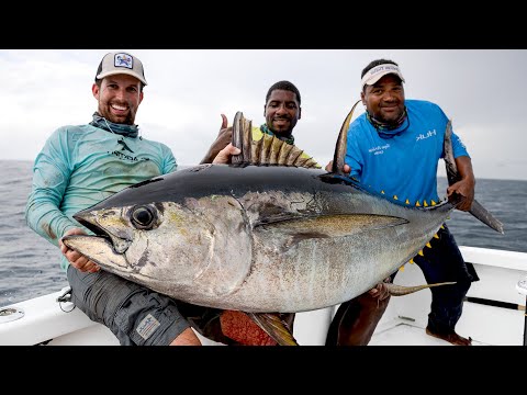 Upload mp3 to YouTube and audio cutter for Extreme Saltwater Fishing 2 download from Youtube