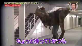 Japanese prank with a T-Rex