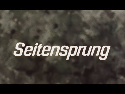 Seitensprung'