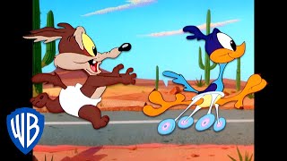 Kojot a Road Runner - Baby 