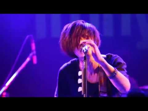 the irony / クピドの誘惑 (LIVE)