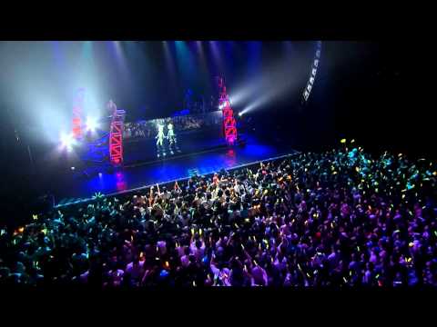 Hologram Concert - Butterfly on Your Right Shoulder Live