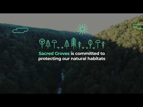 Sacred Groves - Let's Protect Our Natural Habitats!