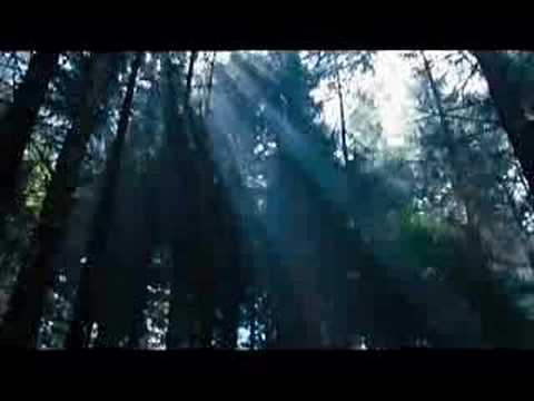 Wilderness'