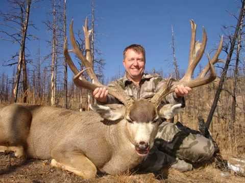 Largest Whitetail Deer Ever Killed On Film 236 2 8