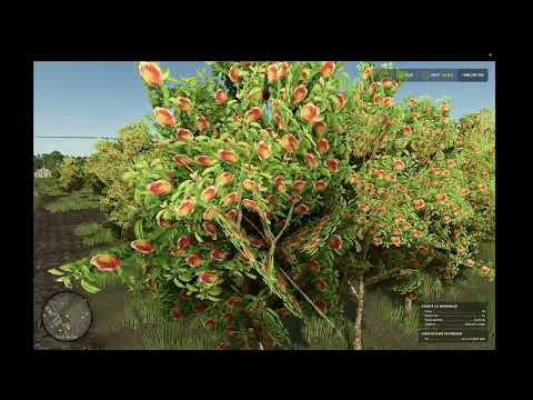 Zielonka Real Orchards Multifruit v1.0.0.0