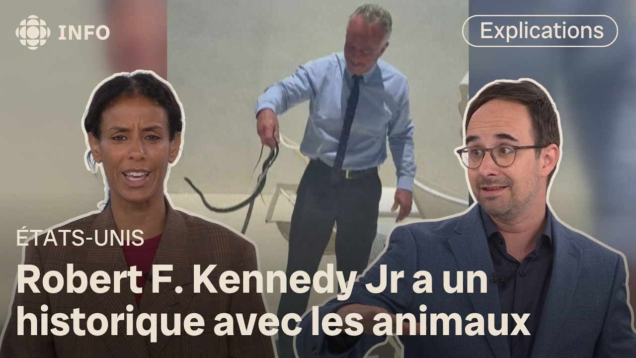 Robert F. Kennedy Jr manipule des serpents (et sa méthode est saluée) | Première ligne