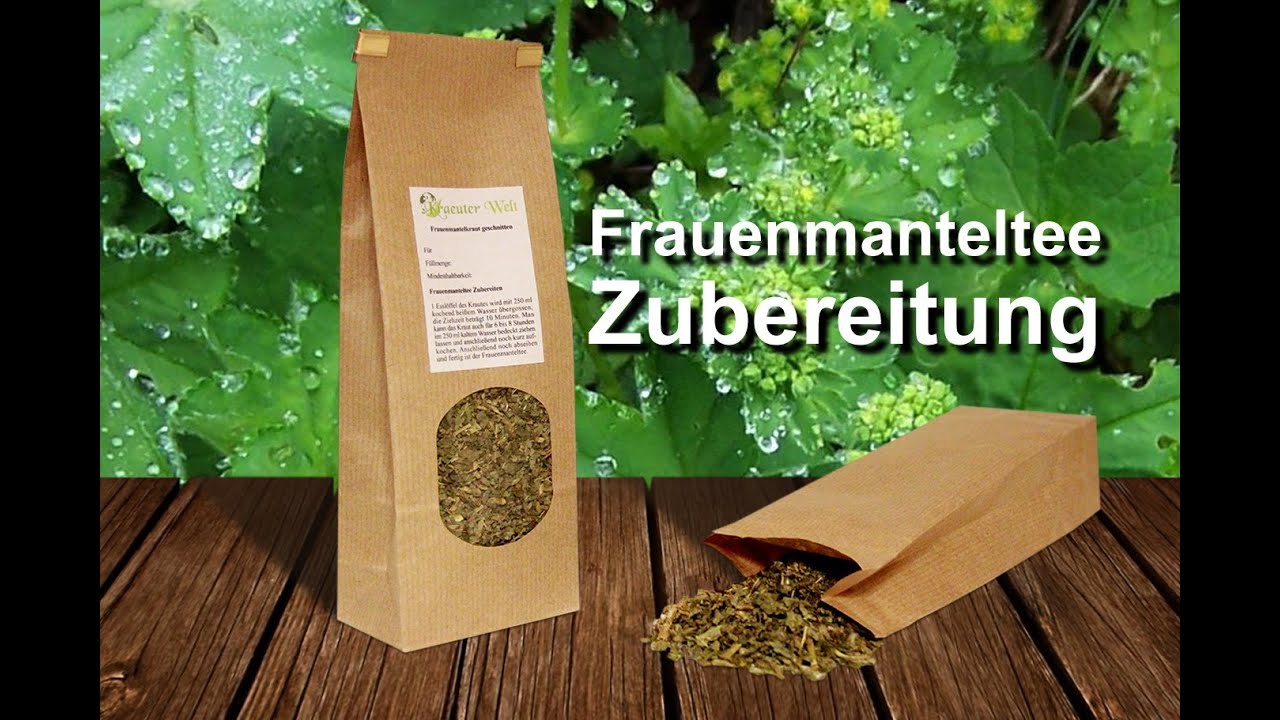 Frauenmanteltee zubereitung / Kräutertee für die schwangerschaft - YouTube
