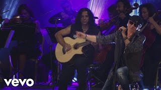 Passion Rules the Game (MTV Unplugged)