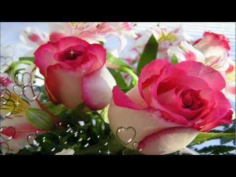VIDEO OREJA VAN GOGH MIL ROSA video oreja van gogh mil rosa:
