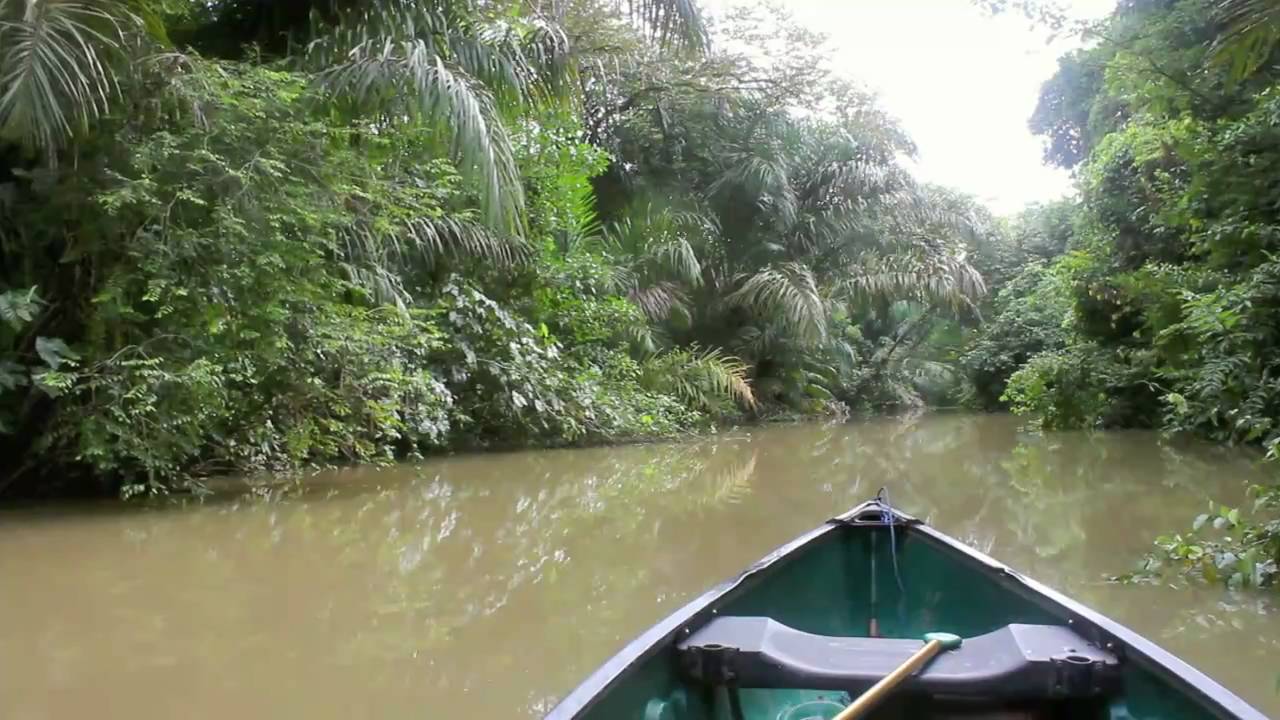 Nicaragua Jungle Expedition (HD Trailer) - YouTube