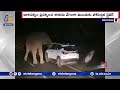 Incredible Video: Driver's Quick Thinking Saves Him from Wild Elephant in Tamil Nadu