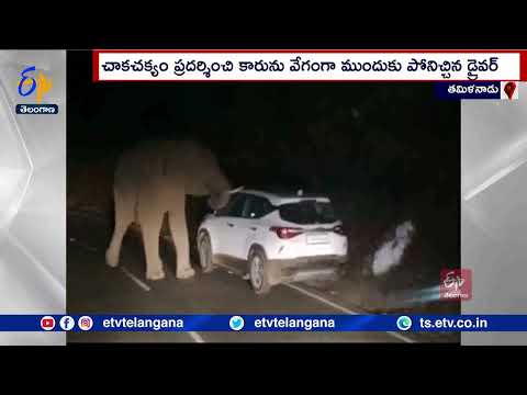 Incredible Video: Driver's Quick Thinking Saves Him from Wild Elephant in Tamil Nadu
