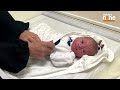 Miraculous: Baby Boy Delivered Who Stayed Alive in Gaza After Mother Killed in Airstrike | news9  - 03:02 min - News - Video