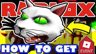 Event How To Get The Possessed Cat Head Roblox 2018 Halloween - roblox high school events