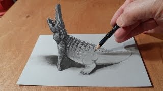 3D錯覺繪圖-鱷魚
