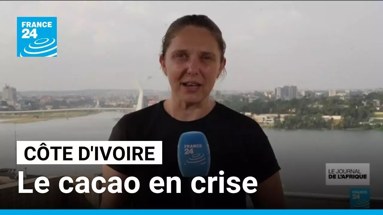 Côte d'Ivoire : le secteur de production du cacao en crise • FRANCE 24