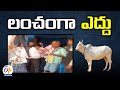 Bull for Bribe: Karnataka Farmer's Unique Response to Corrupt Officials 
